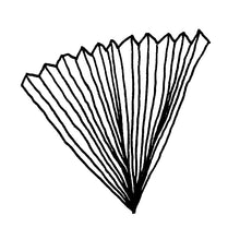 Load image into Gallery viewer, Only Fans Book
